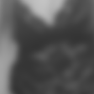 rencontre-Cougar-Annecy