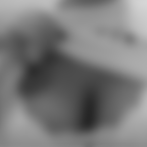 rencontre-Cougar-Clermont-Ferrand