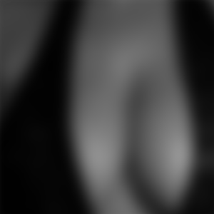 rencontre-Cougar-Limoges