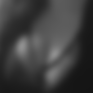 rencontre-Cougar-Limoges