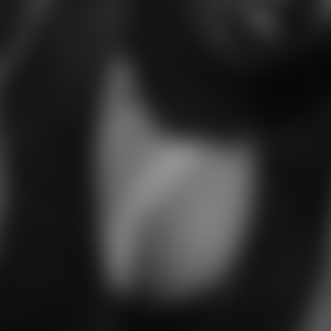 rencontre-Cougar-Tours